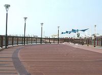 塑木地板 戶(hù)外地板 棧道地板