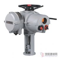 ROM1O羅托克電動(dòng)執(zhí)行器