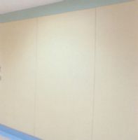 無機(jī)預(yù)涂氟碳裝飾板（內(nèi)外墻裝飾）