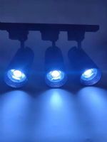 梵立芯軌道燈鮮肉蔬菜射燈