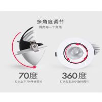 梵立芯天花射燈